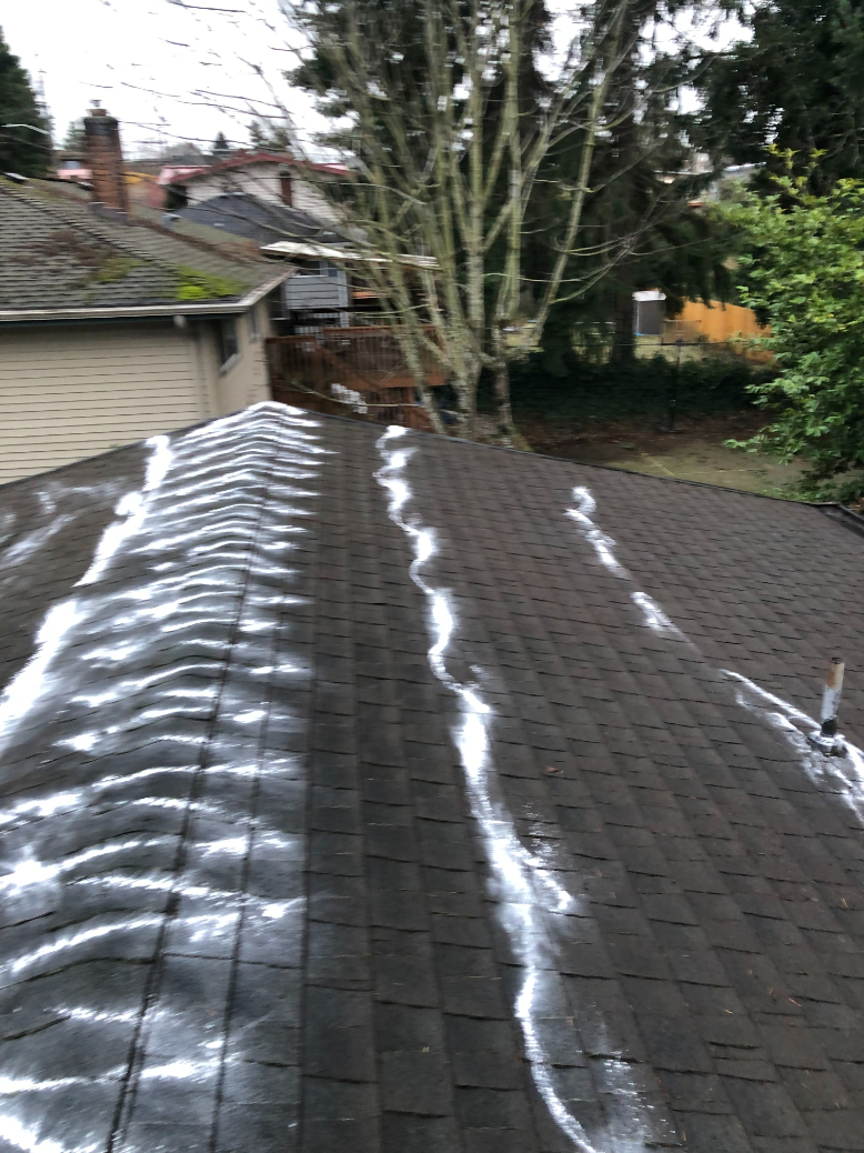 Roof Cleaning and Moss Removal in West Seattle, WA