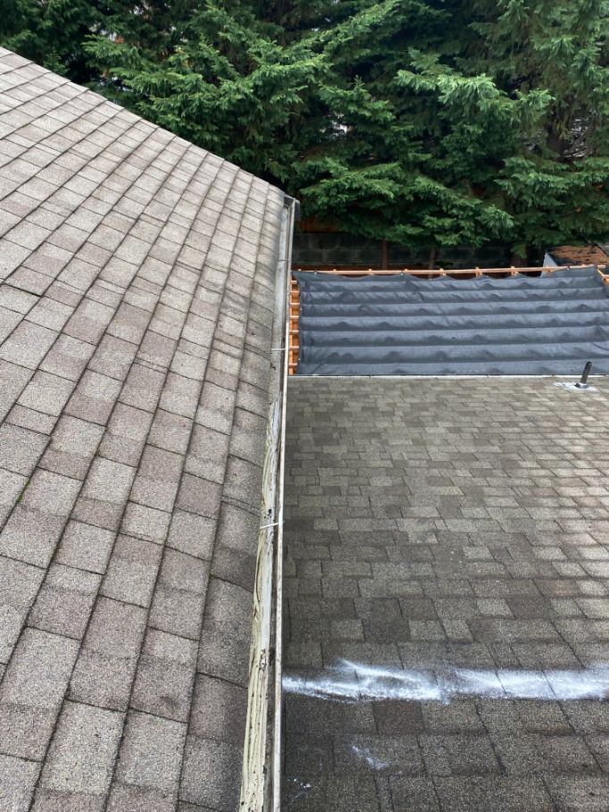 Roof Moss Removal and Gutter Cleaning in Renton, WA
